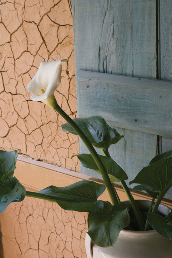 Bousillage was left unplastered on the glassed-in porch.